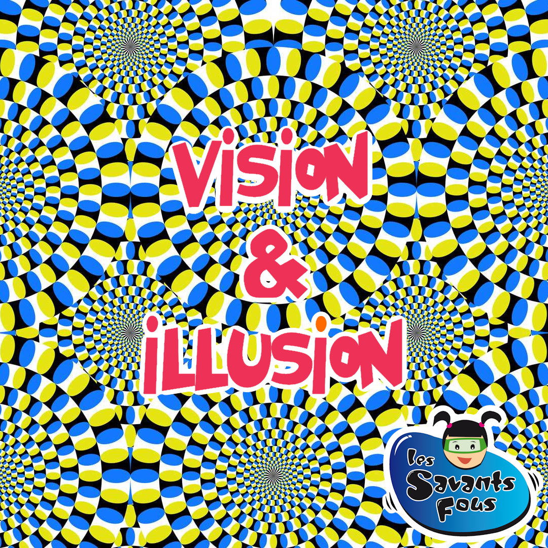 Vision illusion avec les Savants Fous